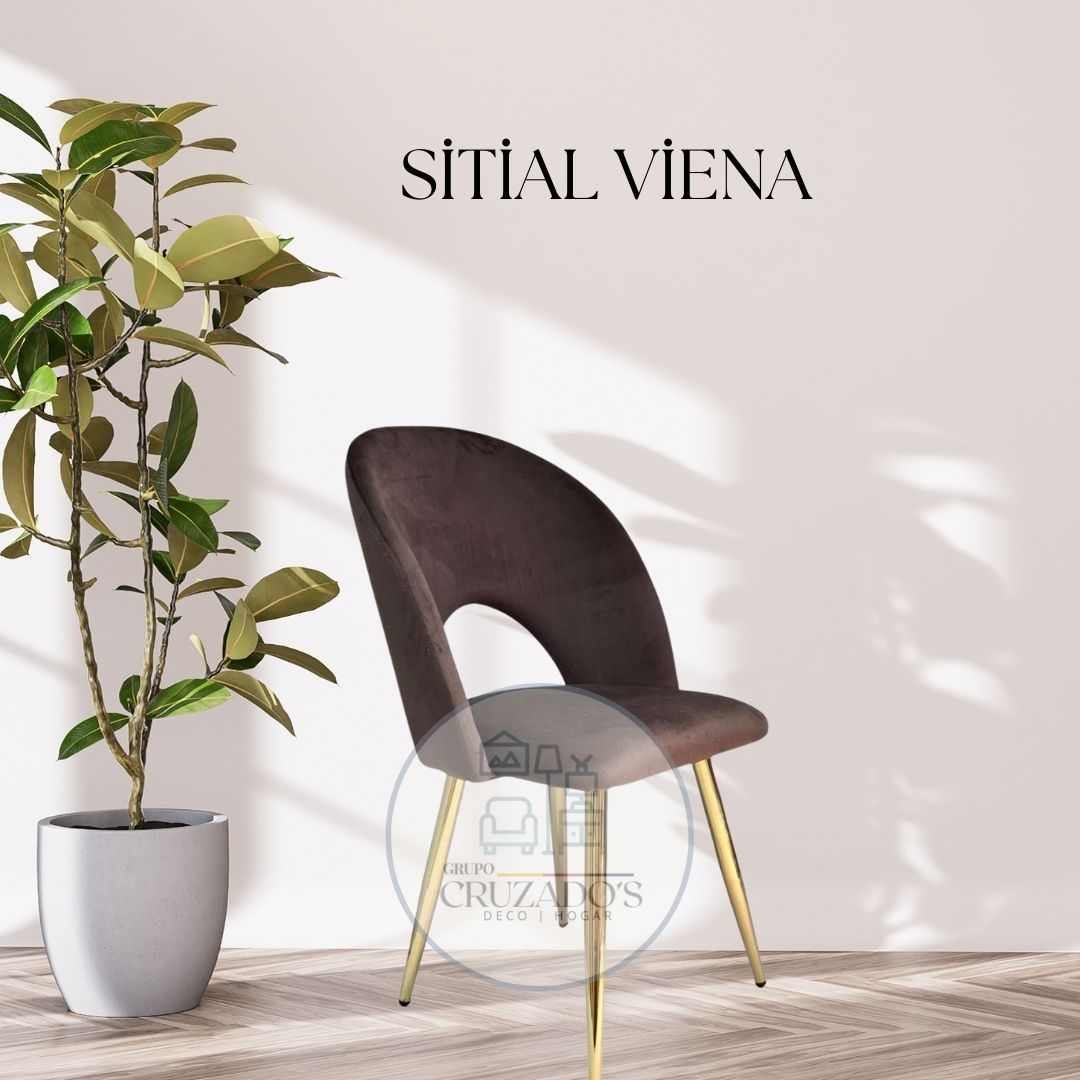 Comedor 160x90cm + SILLA VIENA